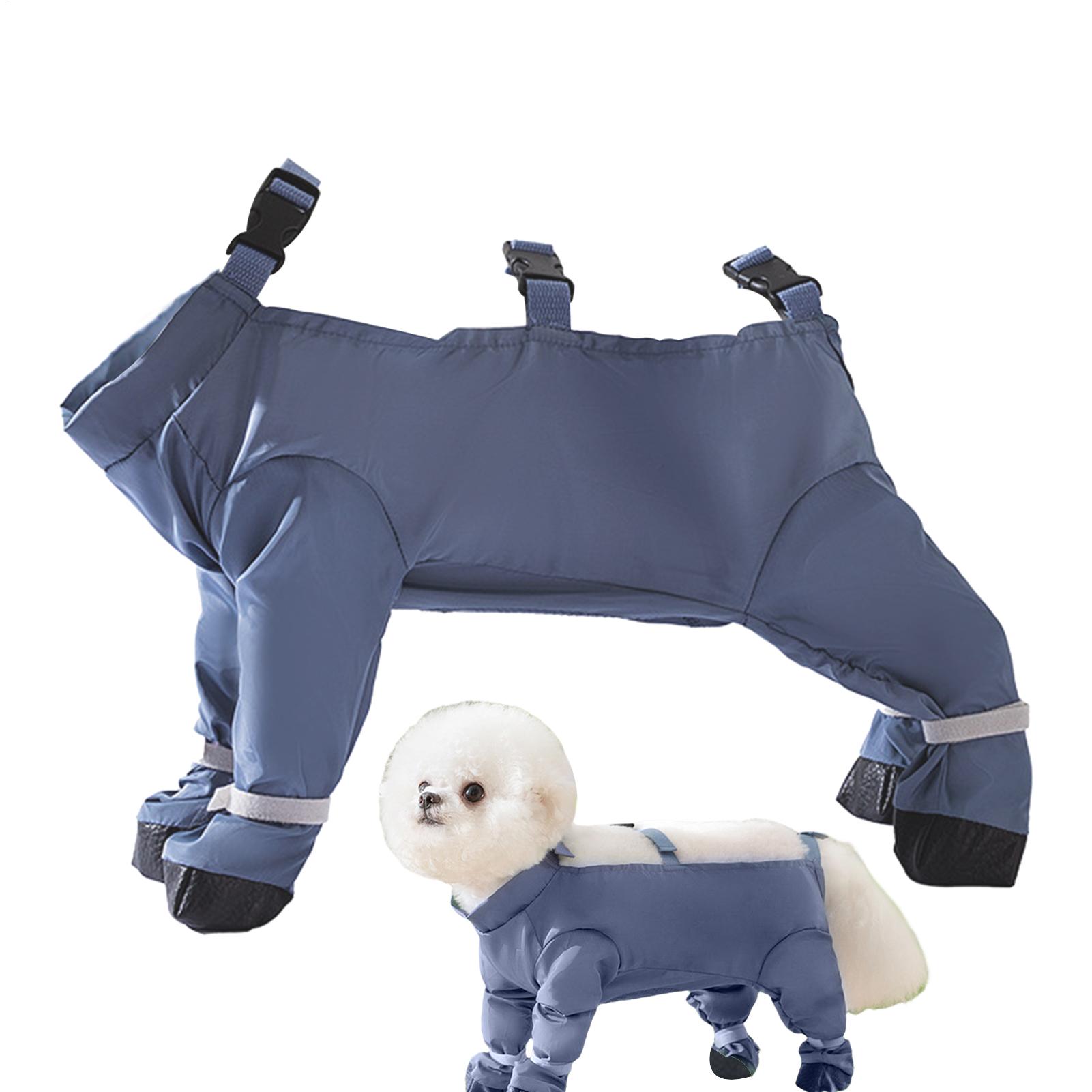 Botas Impermeáveis para Cães c - Women'S Shoes Hush Puppies avaliação e preço